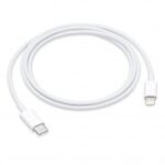 Apple Type C to Lightning Cable 1M